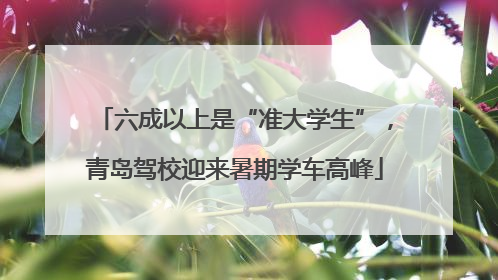 六成以上是“准大学生”，青岛驾校迎来暑期学车高峰