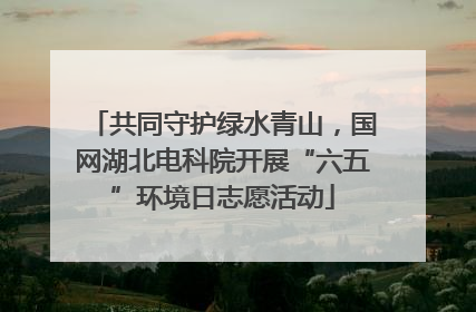 共同守护绿水青山，国网湖北电科院开展“六五”环境日志愿活动