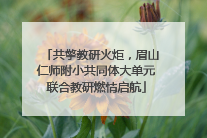 共擎教研火炬，眉山仁师附小共同体大单元联合教研燃情启航