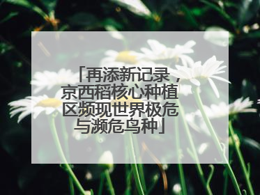 再添新记录，京西稻核心种植区频现世界极危与濒危鸟种
