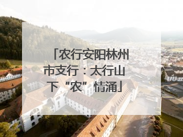 农行安阳林州市支行：太行山下“农”情涌
