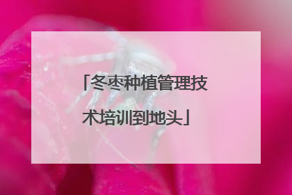 冬枣种植管理技术培训到地头