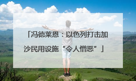 冯德莱恩：以色列打击加沙民用设施“令人憎恶”