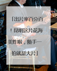 出片率百分百！昆明这片花海美炸啦，随手一拍就是大片