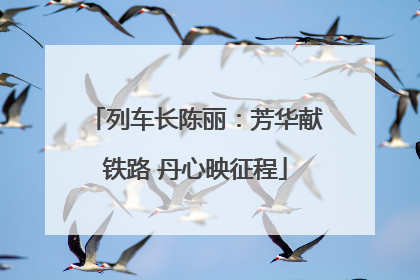 列车长陈丽：芳华献铁路 丹心映征程