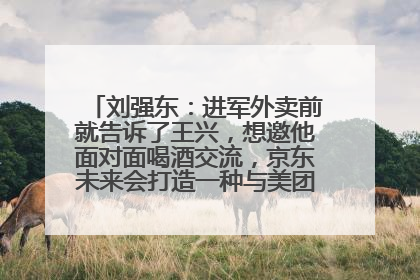 刘强东：进军外卖前就告诉了王兴，想邀他面对面喝酒交流，京东未来会打造一种与美团不同的商业模式