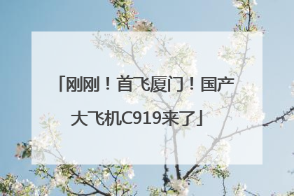 刚刚！首飞厦门！国产大飞机C919来了