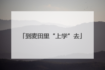 到麦田里“上学”去