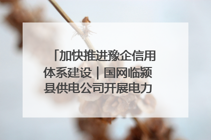 加快推进豫企信用体系建设｜国网临颍县供电公司开展电力行业信用企业现场咨询访谈工作