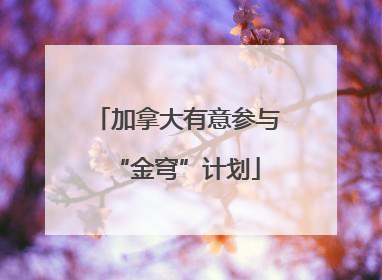 加拿大有意参与“金穹”计划