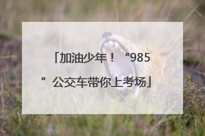 加油少年！“985”公交车带你上考场