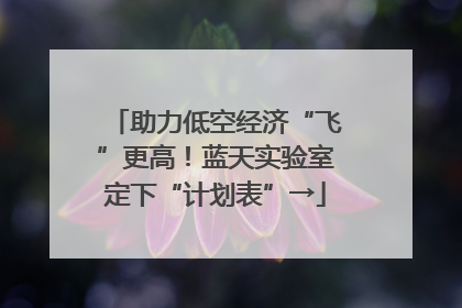 助力低空经济“飞”更高！蓝天实验室定下“计划表”→