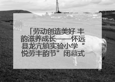 劳动创造美好 丰韵滋养成长——怀远县龙亢镇实验小学“悦劳丰韵节”闭幕式圆满举行