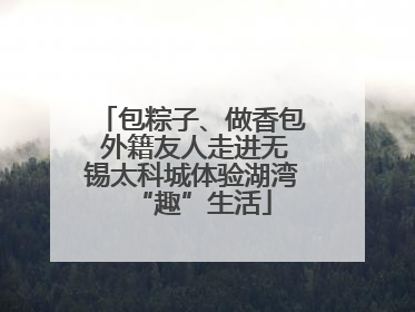 包粽子、做香包 外籍友人走进无锡太科城体验湖湾“趣”生活