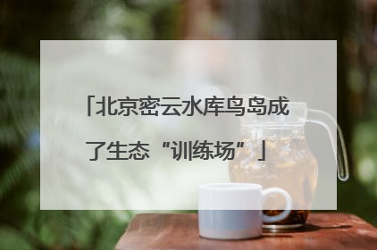 北京密云水库鸟岛成了生态“训练场”