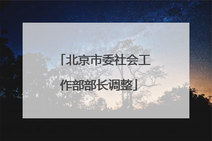 北京市委社会工作部部长调整
