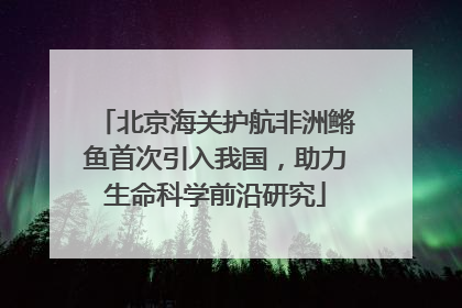 北京海关护航非洲鳉鱼首次引入我国，助力生命科学前沿研究