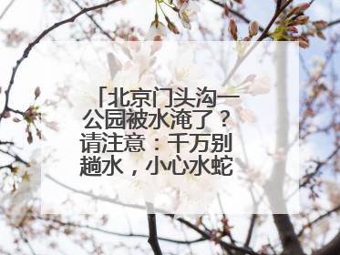北京门头沟一公园被水淹了？请注意：千万别趟水，小心水蛇、水蛭……