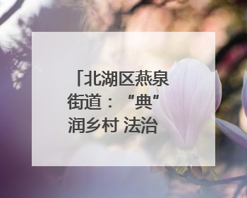北湖区燕泉街道：“典”润乡村 法治清风拂民心