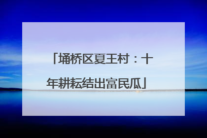 埇桥区夏王村：十年耕耘结出富民瓜