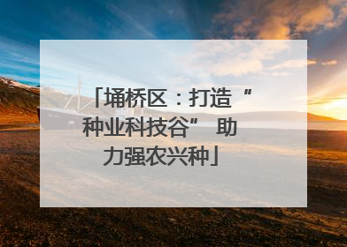 埇桥区：打造“种业科技谷” 助力强农兴种