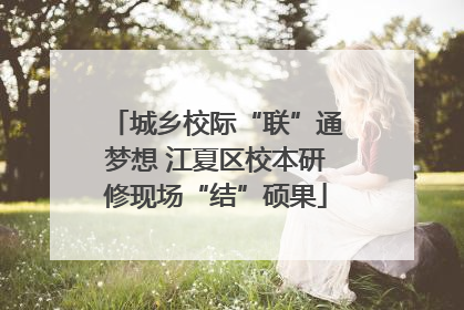 城乡校际“联”通梦想 江夏区校本研修现场“结”硕果