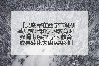 吴晓军在西宁市调研基层党建和学习教育时强调 切实把学习教育成果转化为惠民实效