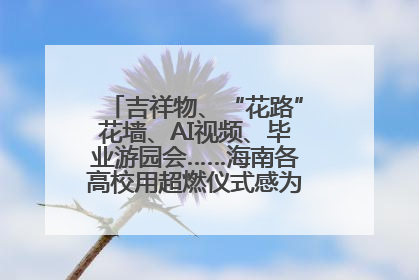 吉祥物、“花路”花墙、AI视频、毕业游园会……海南各高校用超燃仪式感为学子青春“存档”