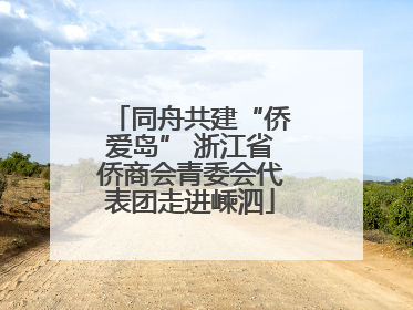 同舟共建“侨爱岛” 浙江省侨商会青委会代表团走进嵊泗