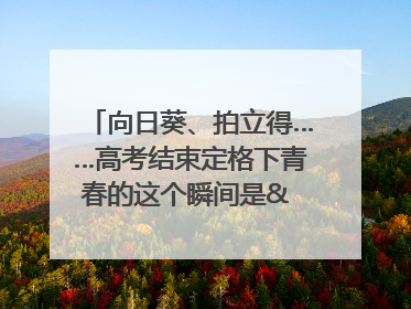 向日葵、拍立得……高考结束定格下青春的这个瞬间是& 8594;｜2025四川高考