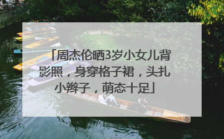 周杰伦晒3岁小女儿背影照，身穿格子裙，头扎小辫子，萌态十足