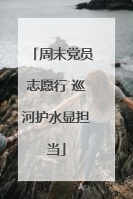 周末党员志愿行 巡河护水显担当