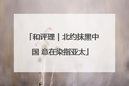 和评理｜北约抹黑中国 意在染指亚太