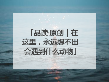 品读·原创｜在这里，永远想不出会遇到什么动物