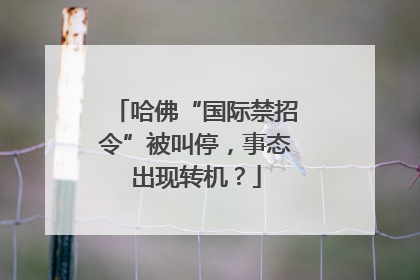 哈佛“国际禁招令”被叫停，事态出现转机？
