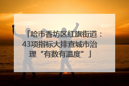 哈市香坊区红旗街道：43项指标大排查城市治理“有数有温度”