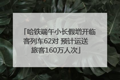 哈铁端午小长假增开临客列车62对 预计运送旅客160万人次