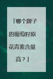 哪个牌子的葡萄籽原花青素含量高？