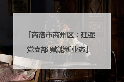 商洛市商州区：建强党支部 赋能新业态