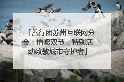 善行团苏州互联网分会：情暖双节，特别活动致敬城市守护者
