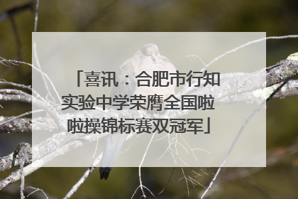 喜讯：合肥市行知实验中学荣膺全国啦啦操锦标赛双冠军