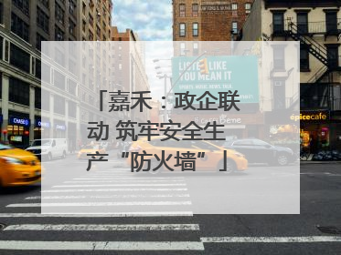 嘉禾：政企联动 筑牢安全生产“防火墙”