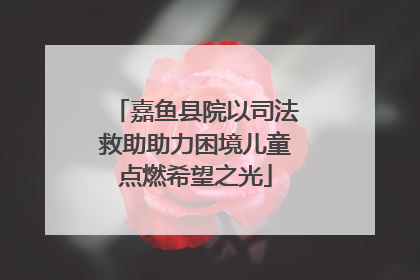 嘉鱼县院以司法救助助力困境儿童点燃希望之光