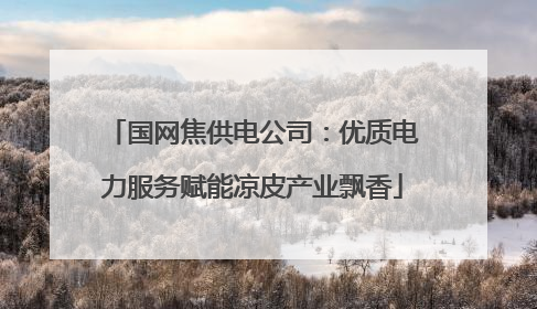 国网焦供电公司：优质电力服务赋能凉皮产业飘香
