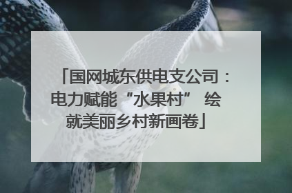 国网城东供电支公司：电力赋能“水果村” 绘就美丽乡村新画卷