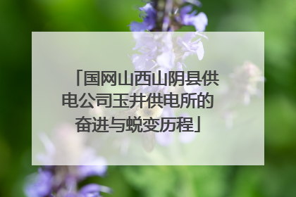 国网山西山阴县供电公司玉井供电所的奋进与蜕变历程