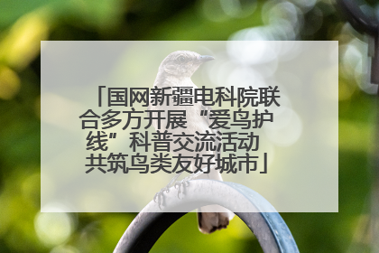 国网新疆电科院联合多方开展“爱鸟护线”科普交流活动 共筑鸟类友好城市