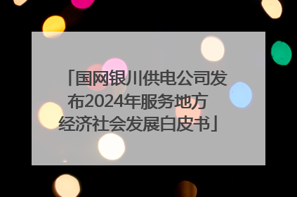 国网银川供电公司发布2024年服务地方经济社会发展白皮书