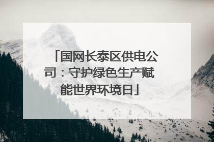 国网长泰区供电公司：守护绿色生产赋能世界环境日