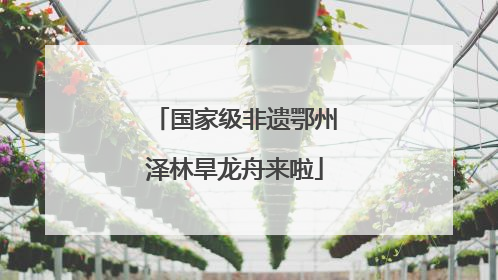 国家级非遗鄂州泽林旱龙舟来啦